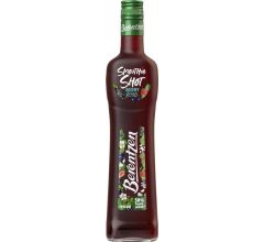 Berentzen Gruppe AG Berentzen Smoothie Shot Berry Kiss 15%