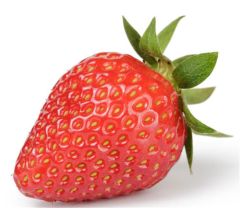 Fruits Best Hoffmanns Erdbeeren
