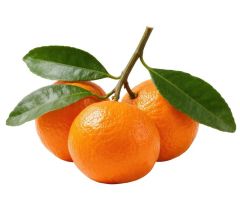 Fruits Best Hoffmanns Mandarinen