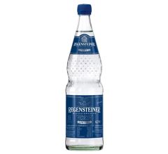 Regensteiner Mineralbrunnen Regensteiner Spritzig