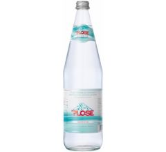 Plose Quelle AG Plose Medium