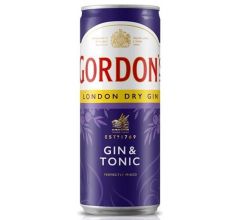 DIAGEO Germany GmbH Gordon´s London Dry Gin & Tonic 10%
